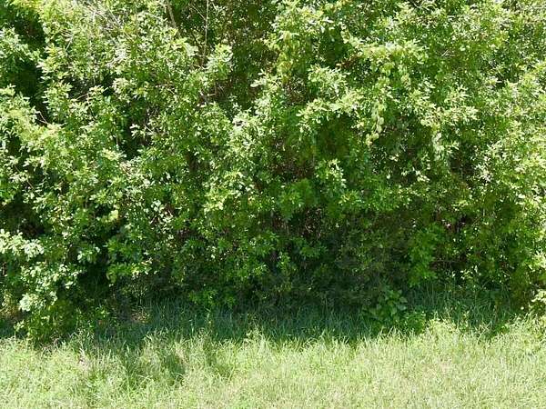 0.47 Acres of Residential Land for Sale in Port St. Lucie, Florida