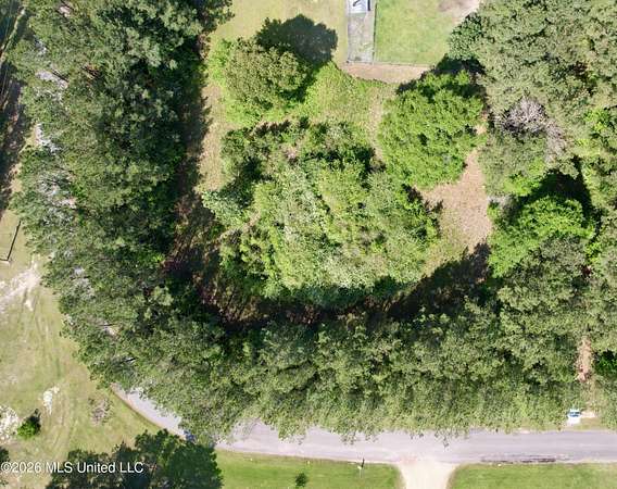 1 Acre of Residential Land for Sale in Moselle, Mississippi
