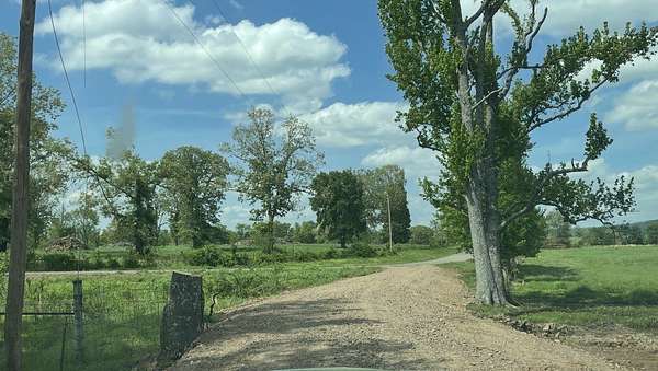 19.7 Acres of Recreational & Residential Land for Sale in Hector, Arkansas