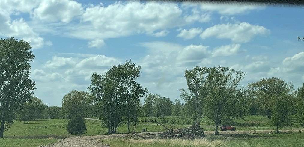 19.7 Acres of Recreational & Residential Land for Sale in Hector, Arkansas