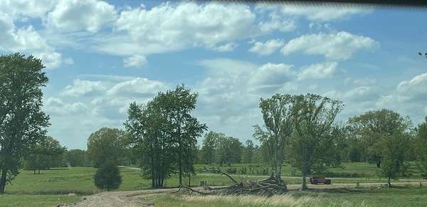 19.7 Acres of Recreational & Residential Land for Sale in Hector, Arkansas