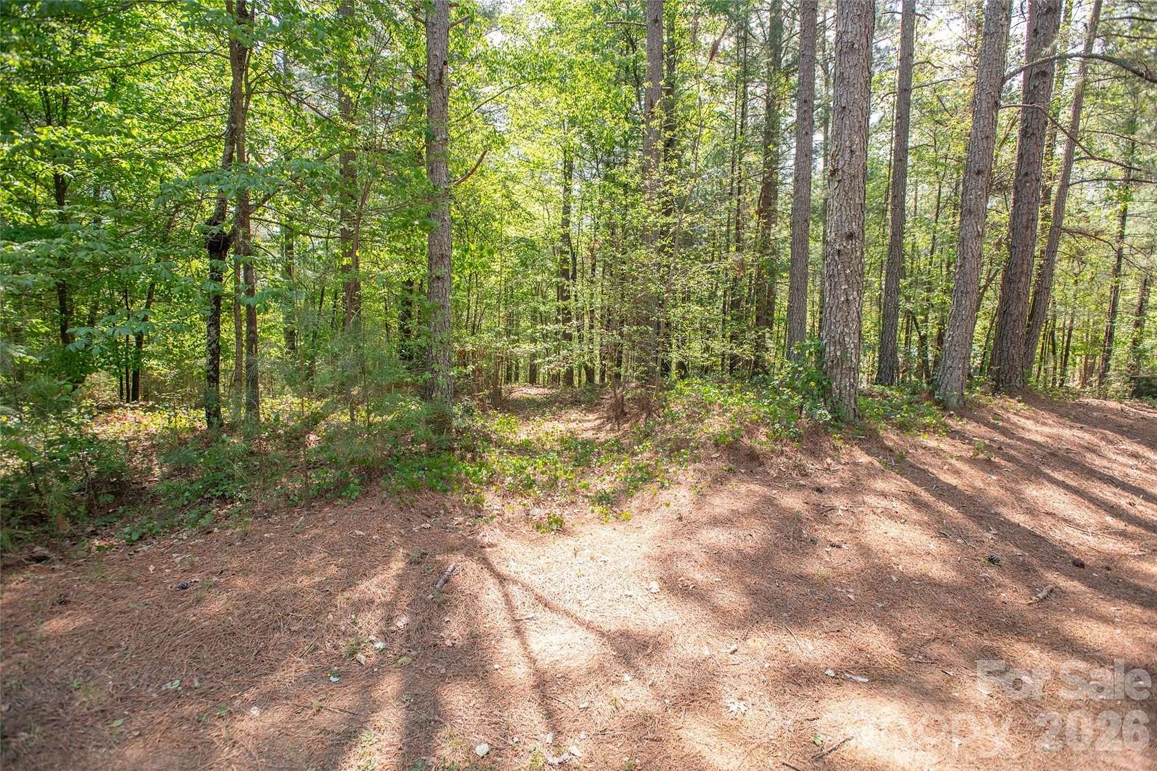 10.3 Acres of Land for Sale in Connelly Springs, North Carolina