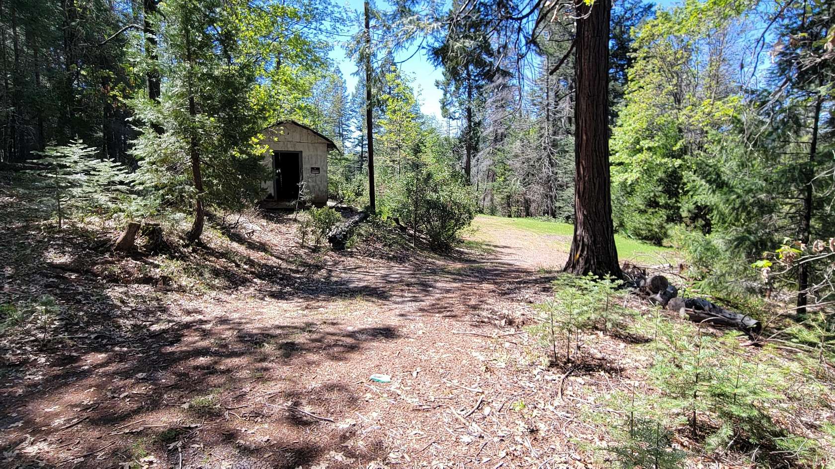 10.4 Acres of Land for Sale in Montgomery Creek, California