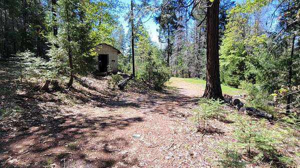 10.4 Acres of Land for Sale in Montgomery Creek, California