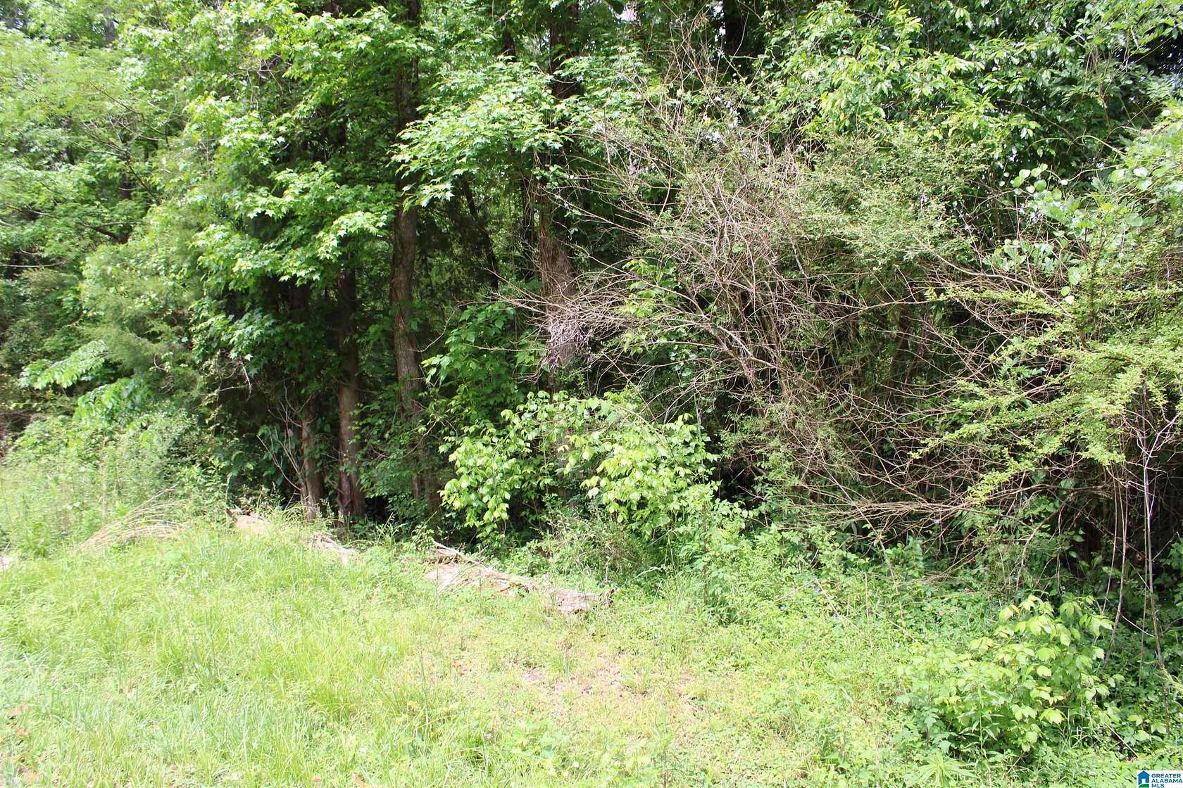 0.23 Acres of Residential Land for Sale in Alabaster, Alabama