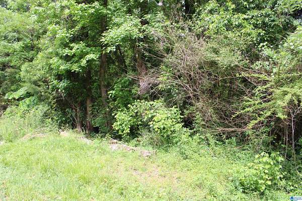 0.23 Acres of Residential Land for Sale in Alabaster, Alabama