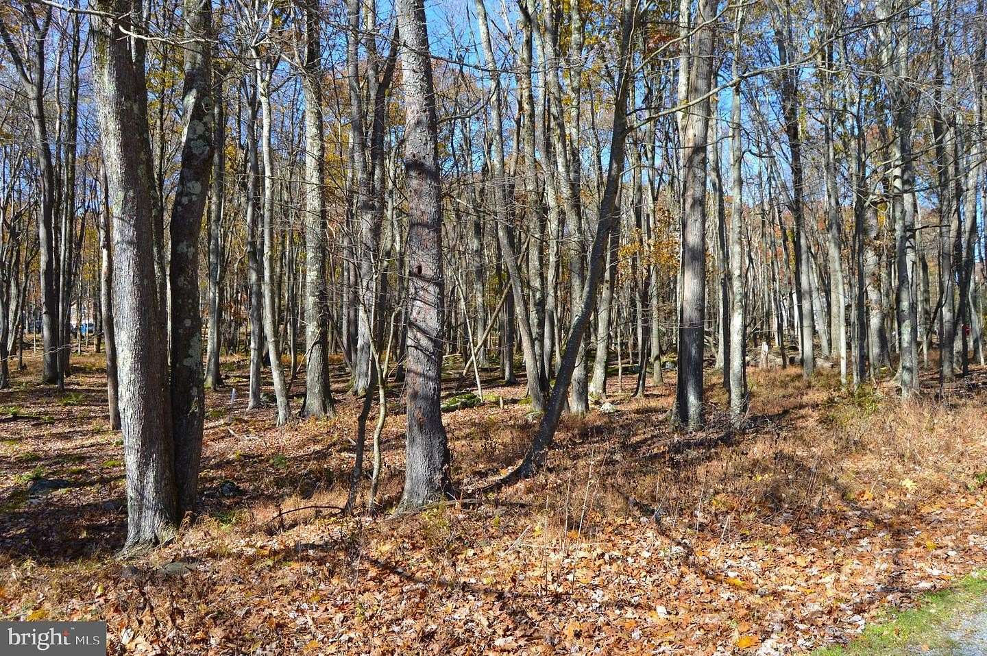0.5 Acres of Residential Land for Sale in Terra Alta, West Virginia