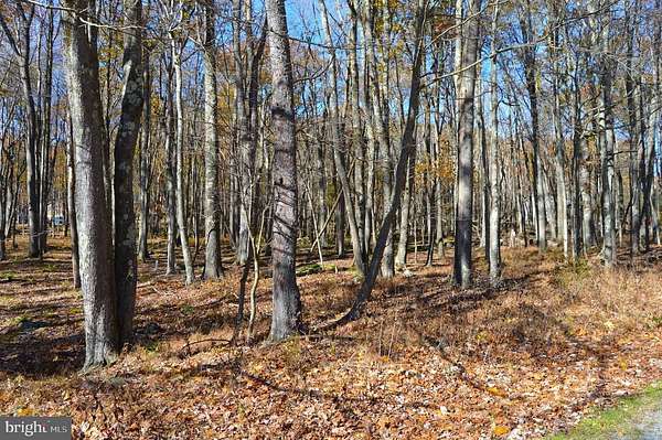 0.5 Acres of Residential Land for Sale in Terra Alta, West Virginia