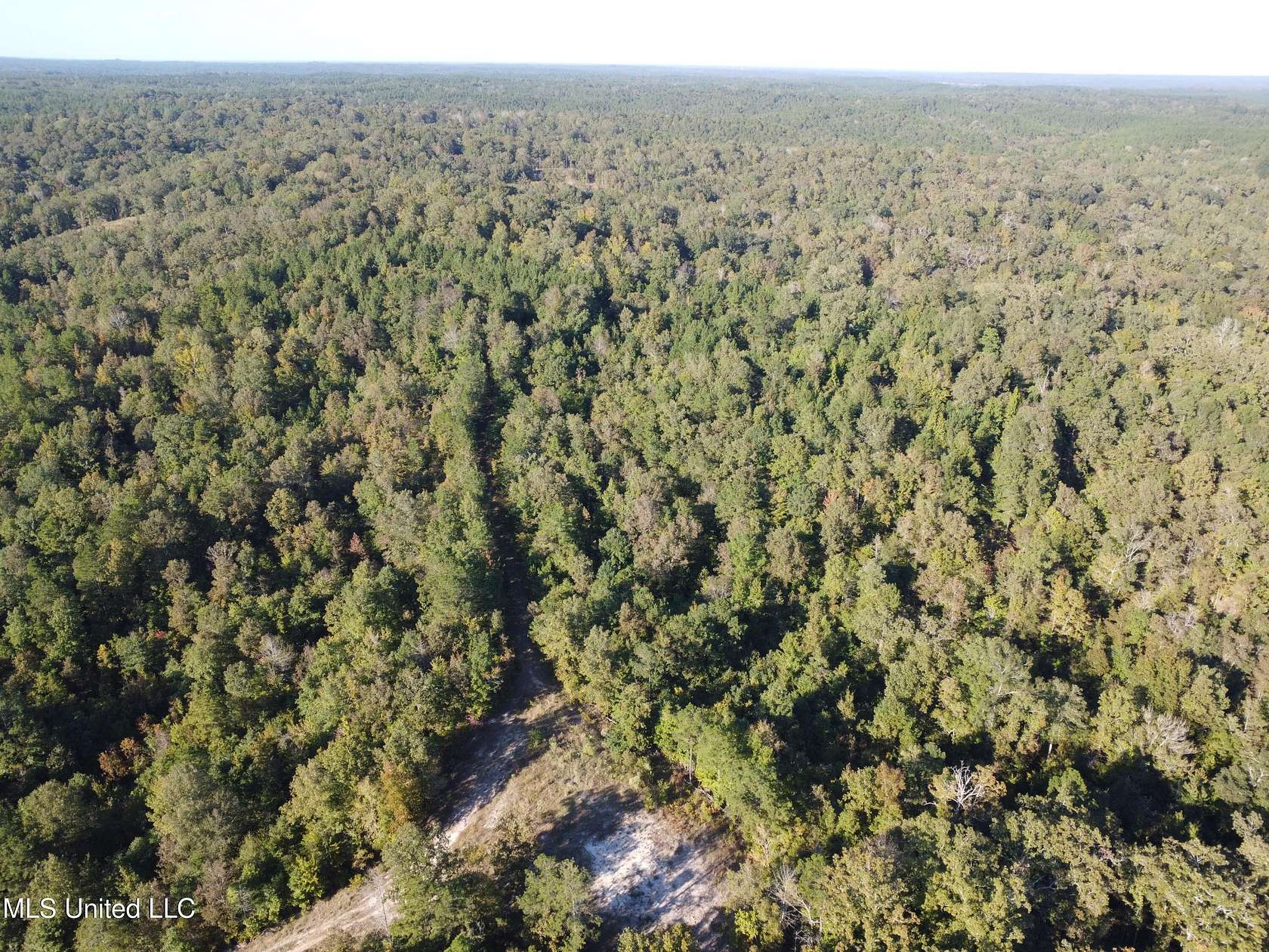 39 Acres of Recreational & Residential Land for Sale in Harrisonburg, Louisiana