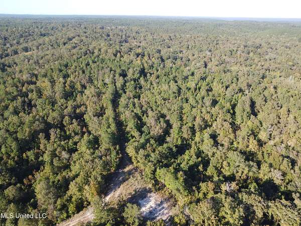 39 Acres of Recreational & Residential Land for Sale in Harrisonburg, Louisiana