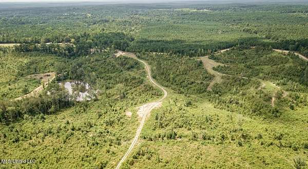 132 Acres of Recreational Land for Sale in Kosciusko, Mississippi