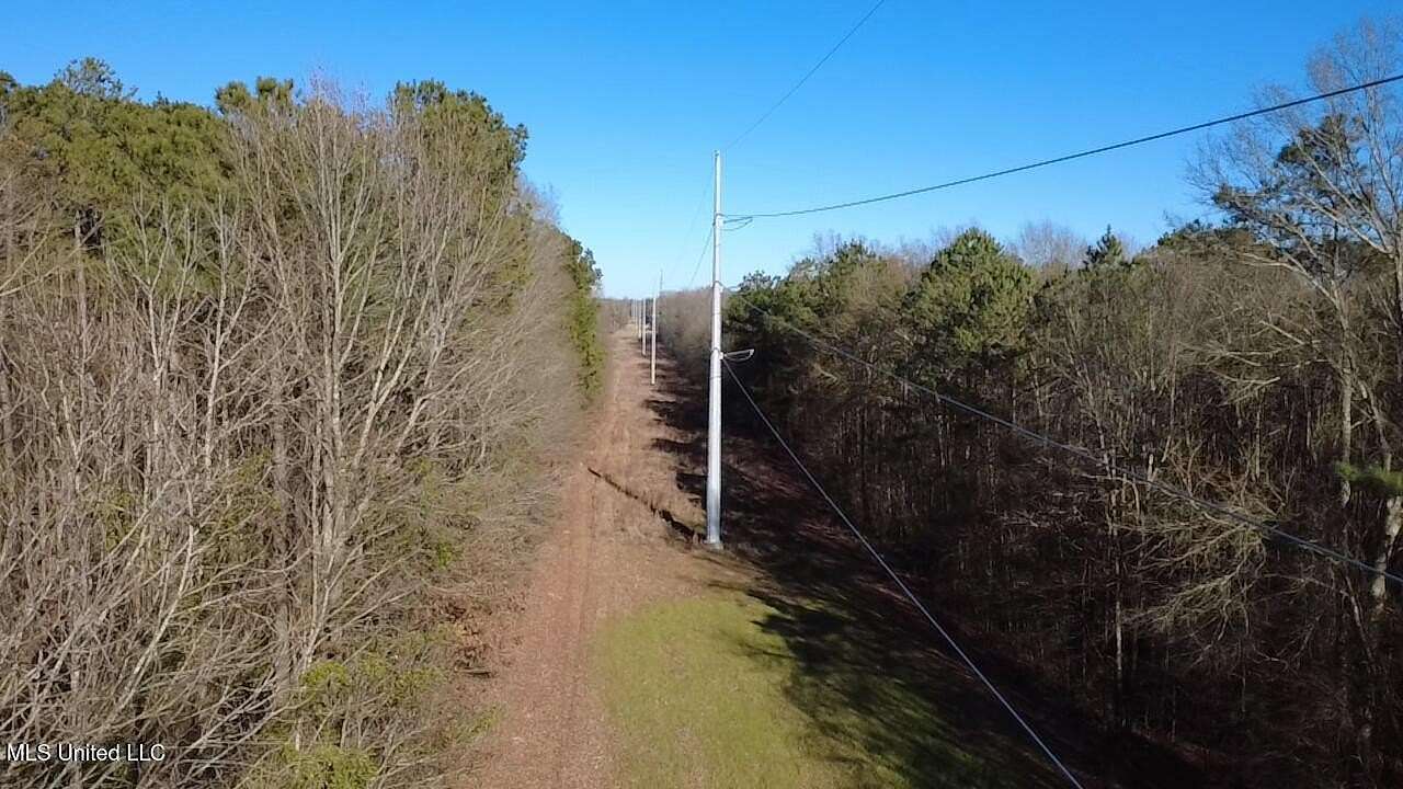 17.2 Acres of Recreational & Residential Land for Sale in Morton, Mississippi