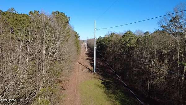 17.2 Acres of Recreational & Residential Land for Sale in Morton, Mississippi