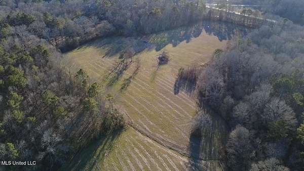 20.4 Acres of Recreational Land for Sale in Morton, Mississippi