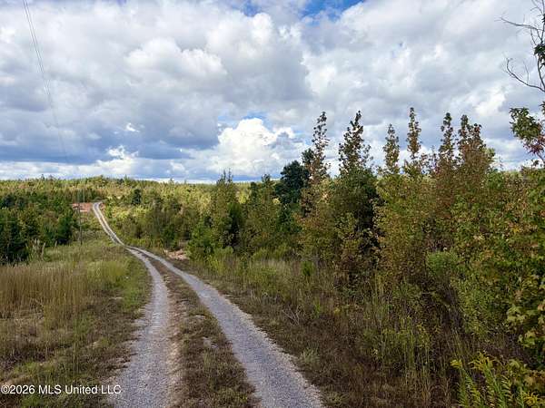 132 Acres of Recreational Land with Home for Sale in Kosciusko, Mississippi