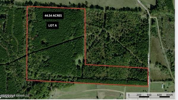 44.5 Acres of Recreational & Residential Land for Sale in Carthage, Mississippi