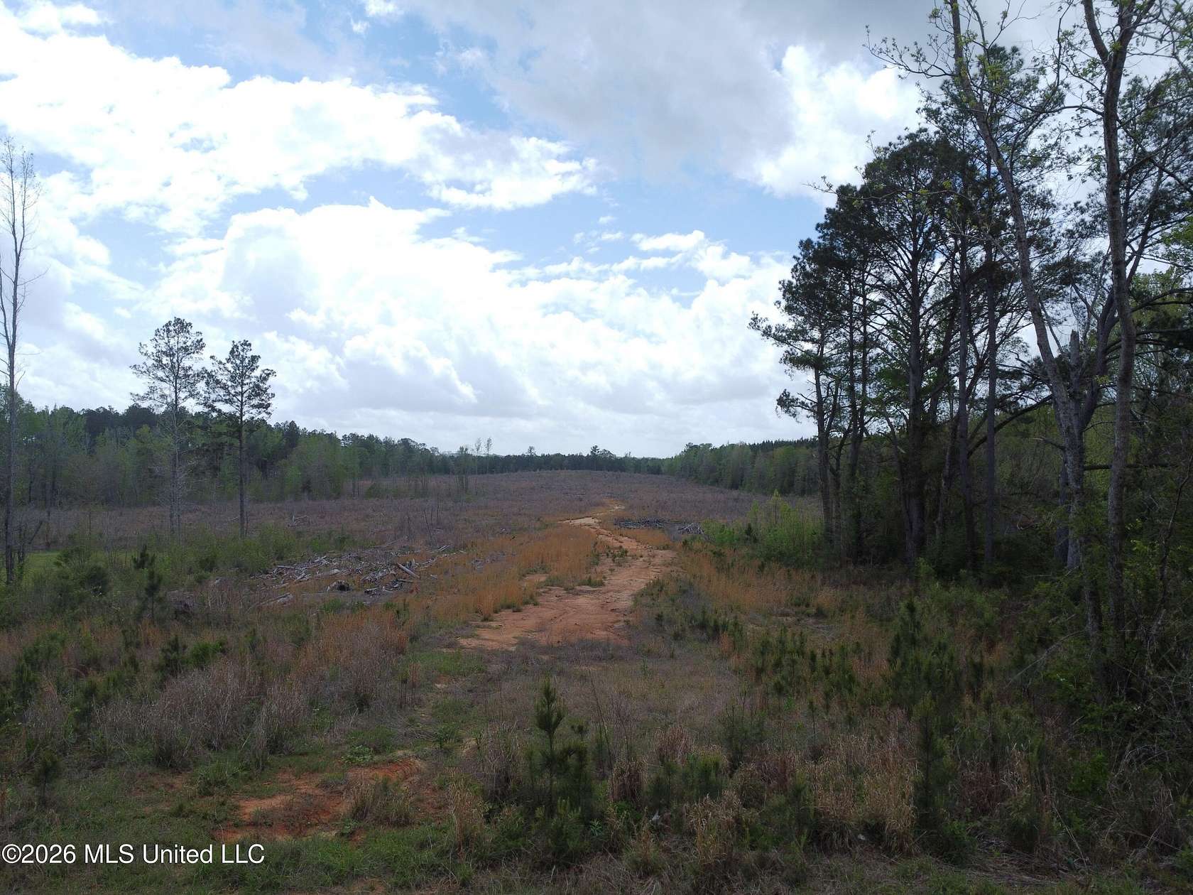 32.5 Acres of Recreational & Residential Land for Sale in Toomsuba, Mississippi