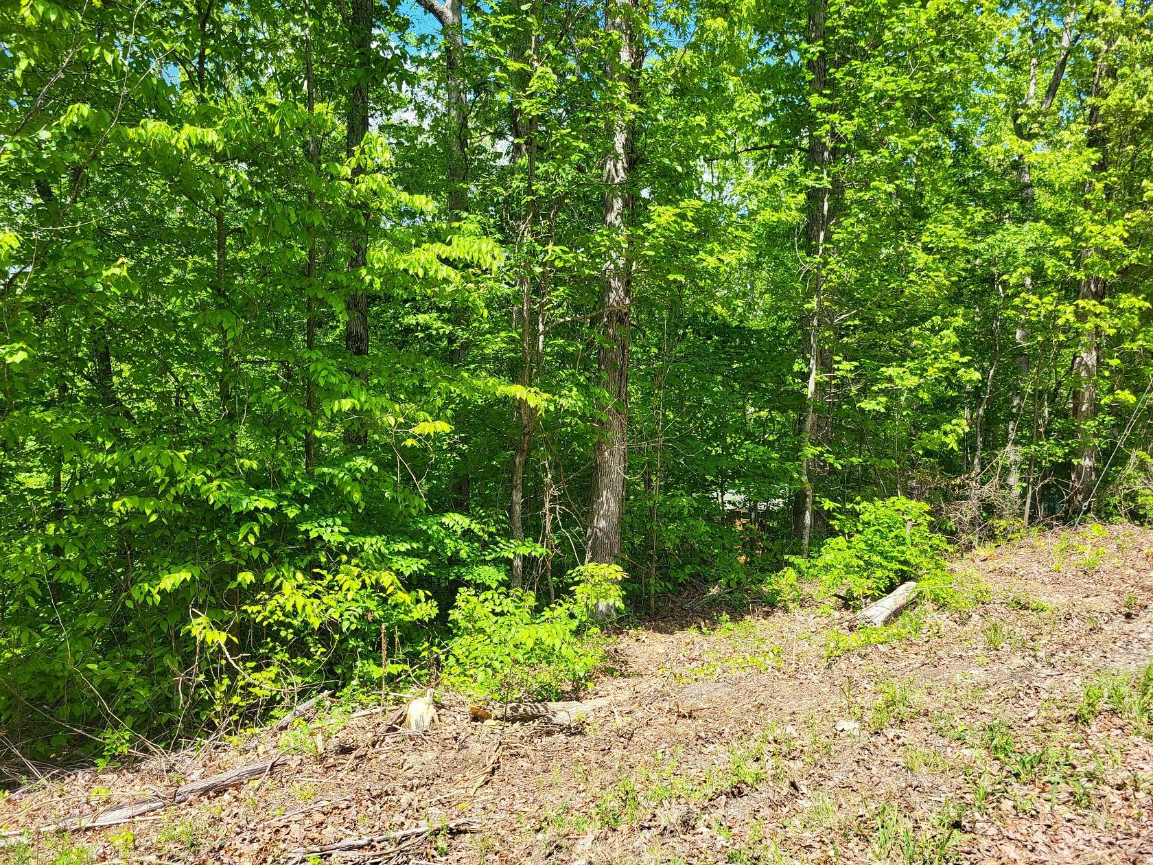 1.5 Acres of Residential Land for Sale in Sugar Tree, Tennessee
