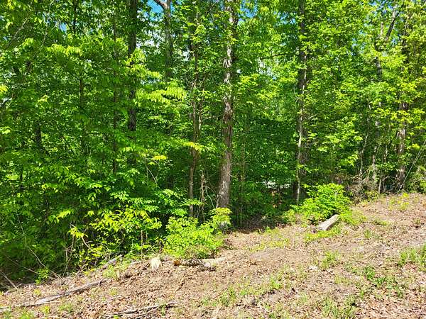 1.5 Acres of Residential Land for Sale in Sugar Tree, Tennessee