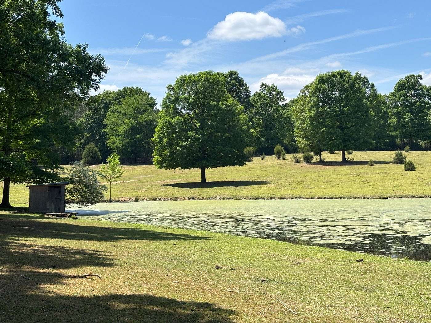 10.7 Acres of Land for Sale in Troy, North Carolina