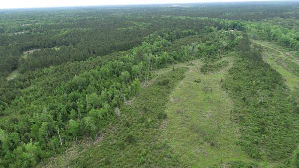 90 Acres of Recreational Land for Sale in Merryville, Louisiana