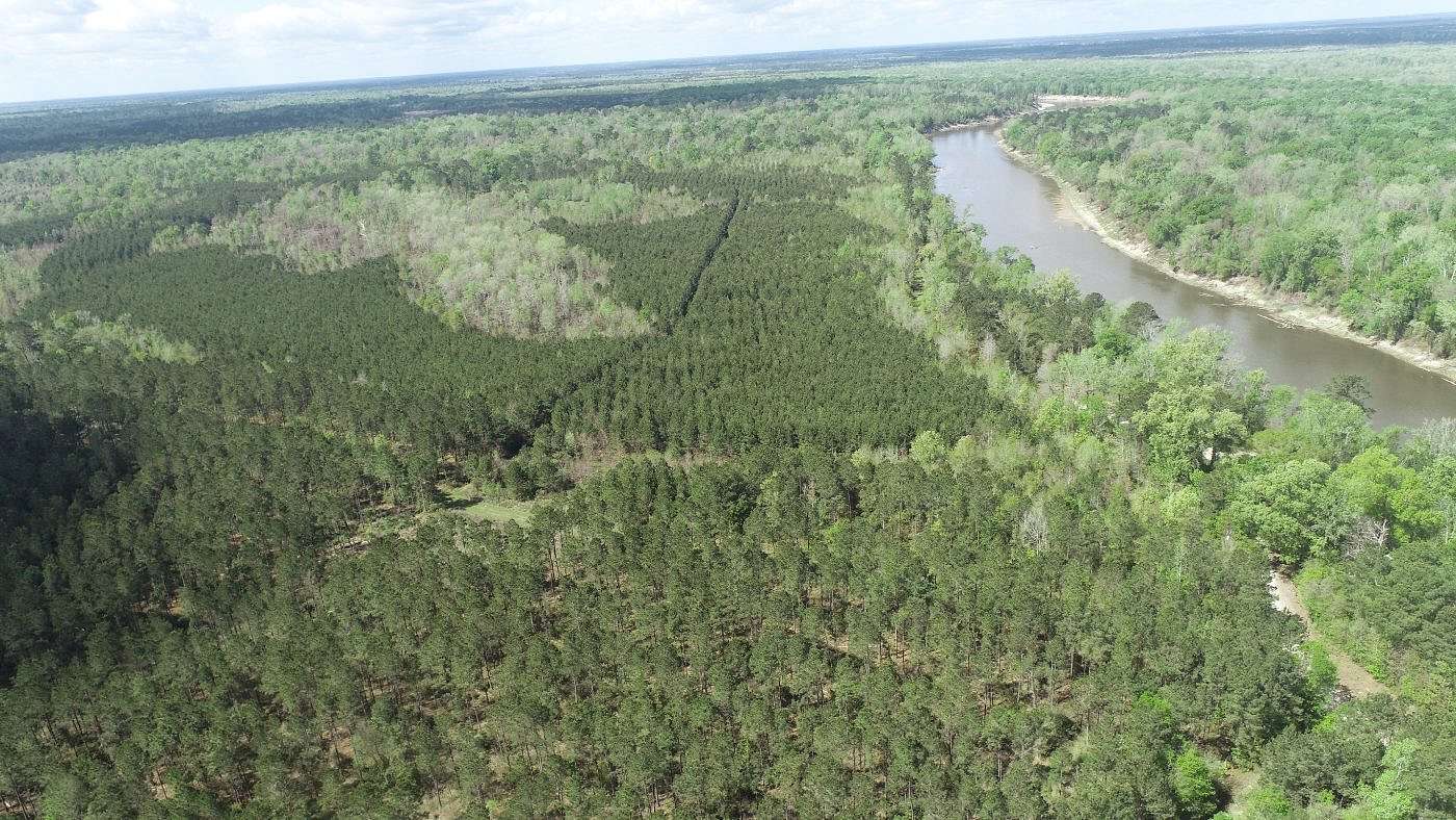43 Acres of Recreational Land for Sale in Merryville, Louisiana
