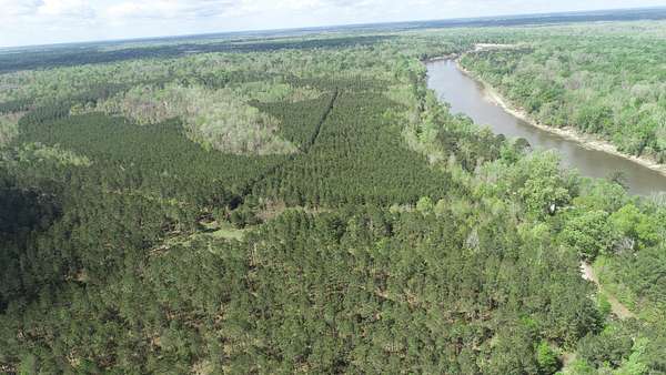 43 Acres of Recreational Land for Sale in Merryville, Louisiana
