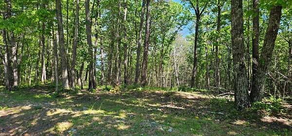3 Acres of Land for Sale in Dunlap, Tennessee