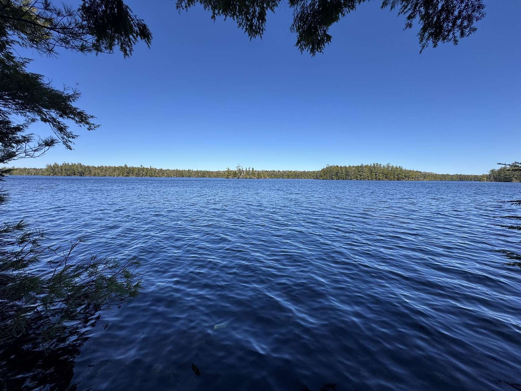 2.5 Acres of Land for Sale in Wesley, Maine