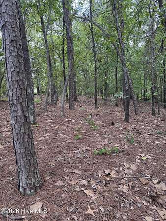0.48 Acres of Residential Land for Sale in Seven Lakes, North Carolina