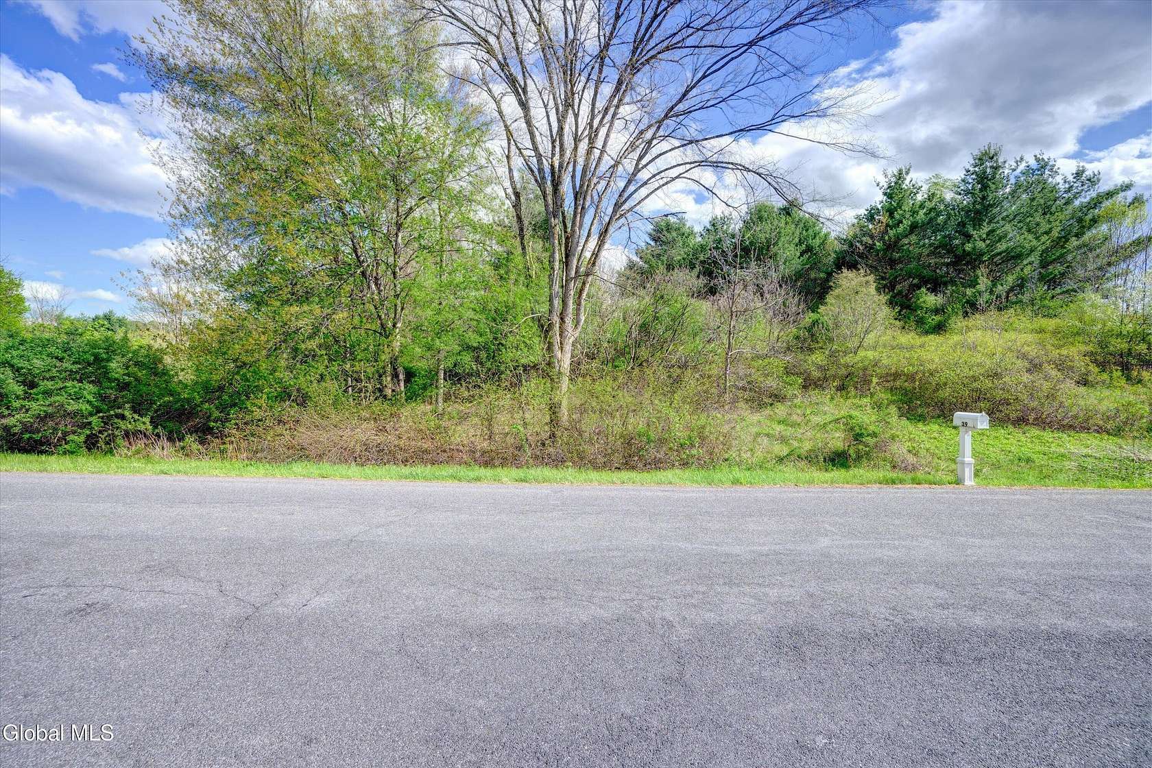 2.38 Acres of Residential Land for Sale in East Greenbush, New York