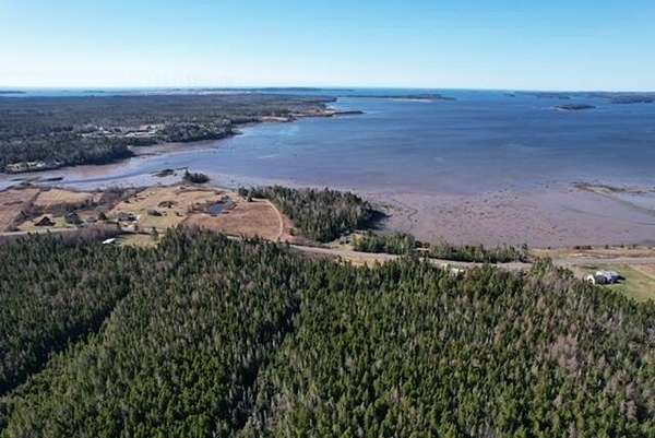 70 Acres of Recreational Land for Sale in Whiting, Maine