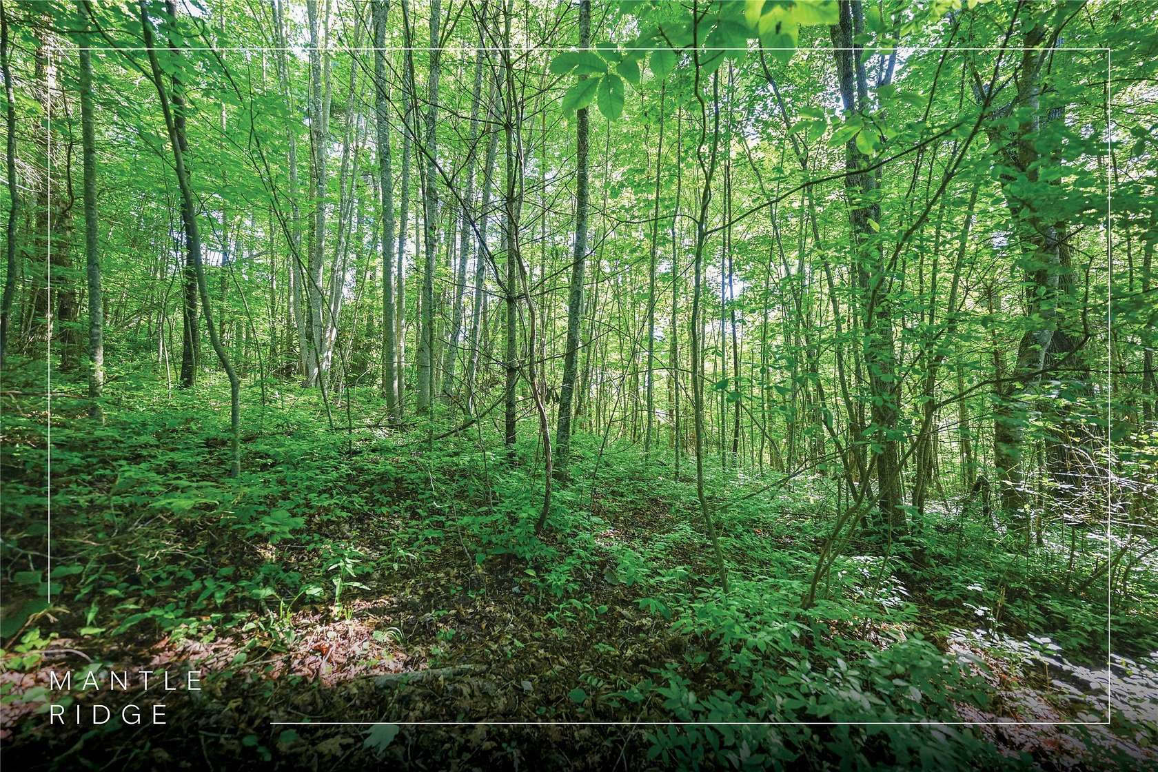 2.22 Acres of Residential Land for Sale in Cashiers, North Carolina