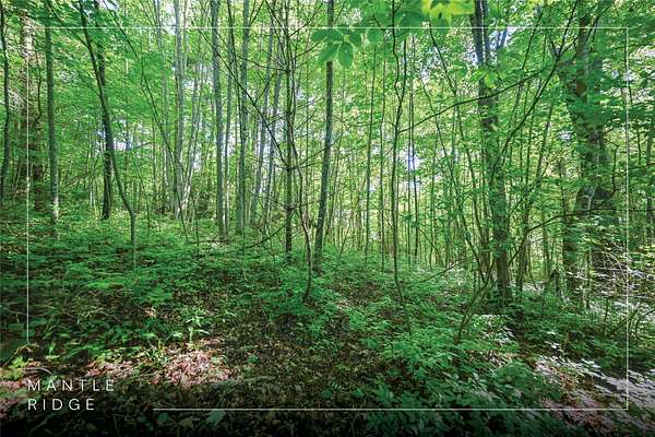 2.22 Acres of Residential Land for Sale in Cashiers, North Carolina
