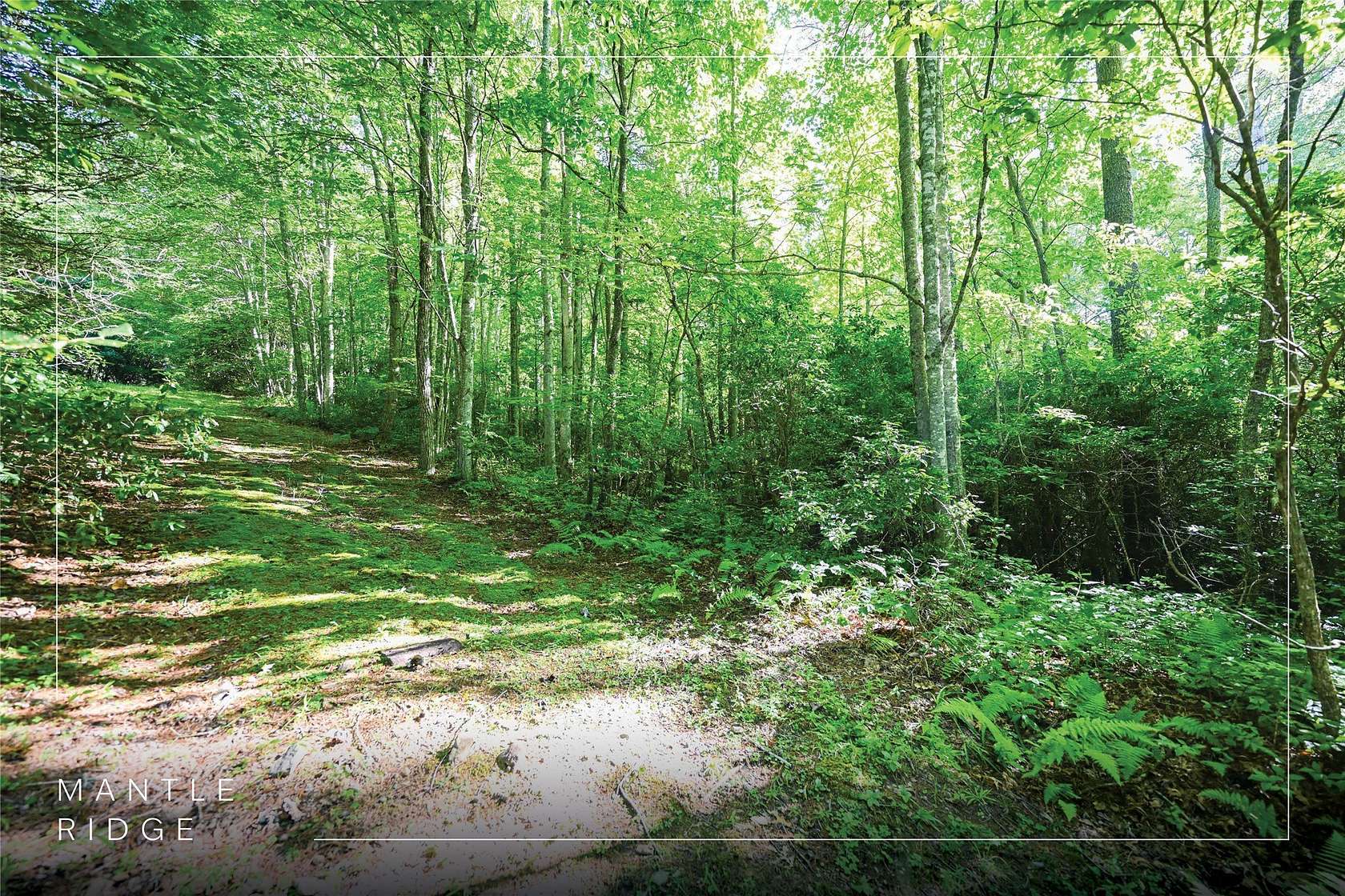 3.26 Acres of Residential Land for Sale in Cashiers, North Carolina