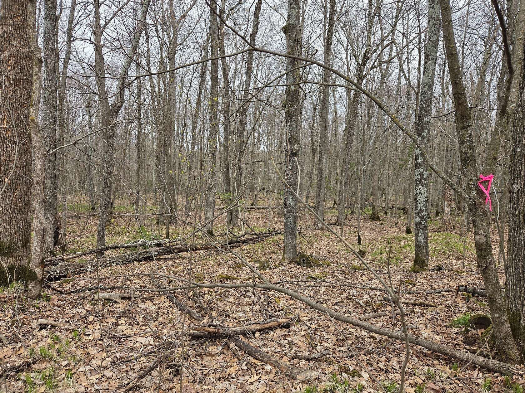 12.4 Acres of Recreational Land for Sale in Hayward, Wisconsin