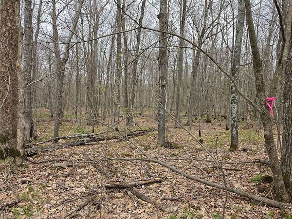 12.4 Acres of Recreational Land for Sale in Hayward, Wisconsin