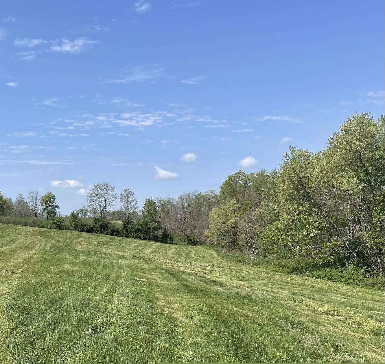 155 Acres of Land for Sale in Cynthiana, Kentucky