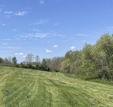 155 Acres of Land for Sale in Cynthiana, Kentucky