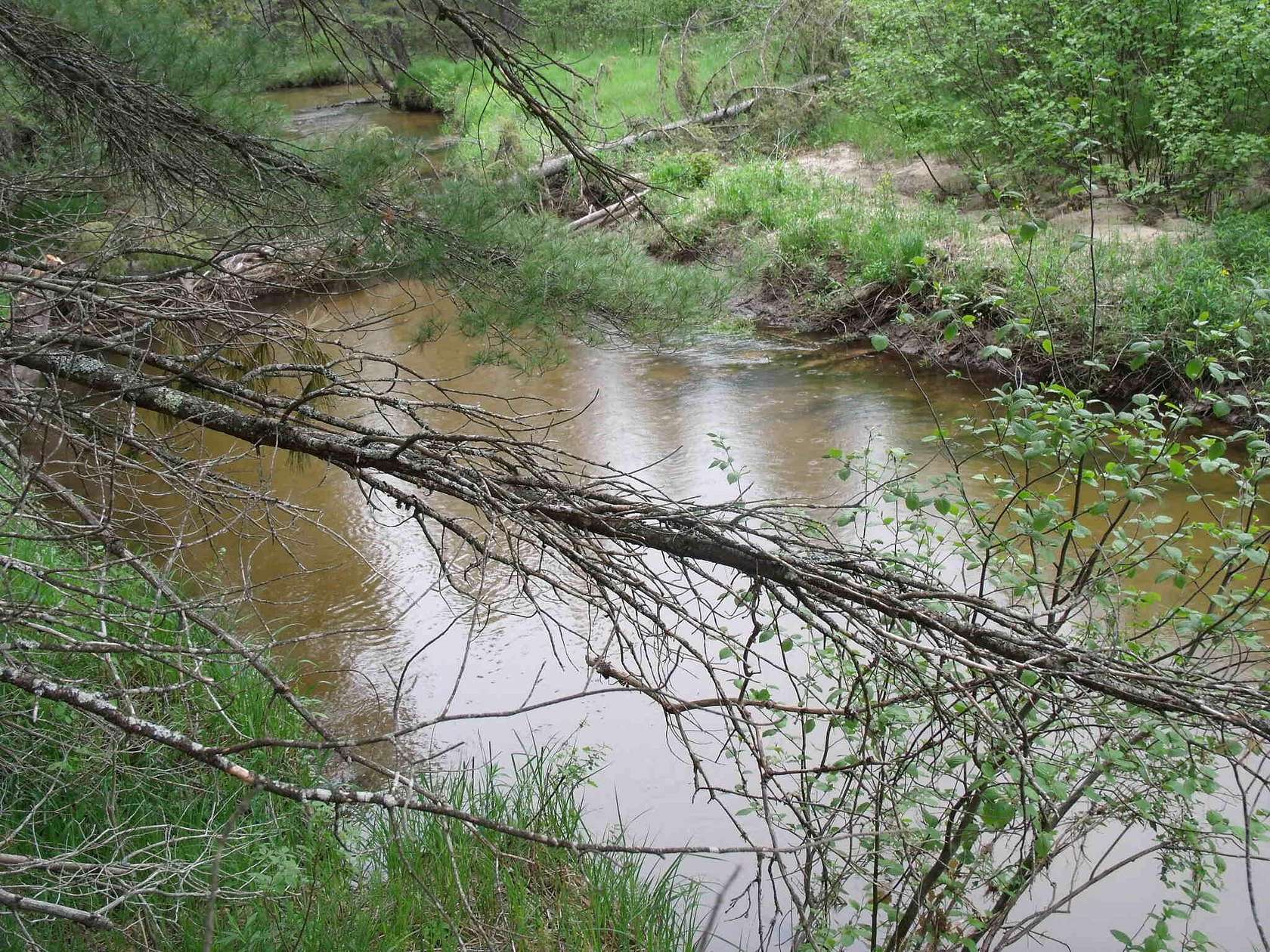10.3 Acres of Recreational Land for Sale in Indian River, Michigan