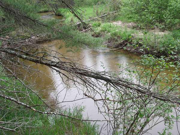 10.3 Acres of Recreational Land for Sale in Indian River, Michigan