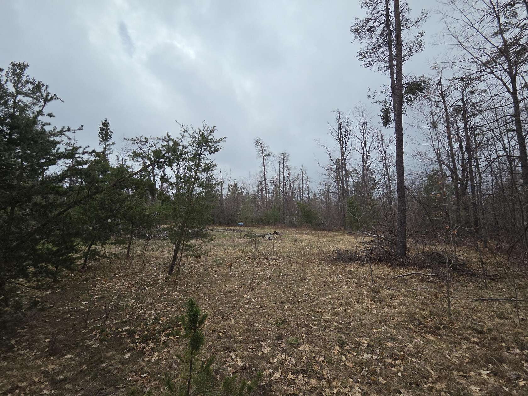 11.7 Acres of Land for Sale in Lewiston, Michigan