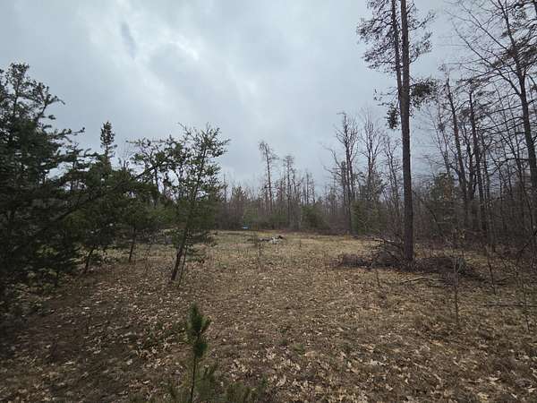 11.7 Acres of Land for Sale in Lewiston, Michigan