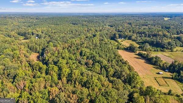 16.3 Acres of Recreational & Residential Land for Sale in Carlton, Georgia