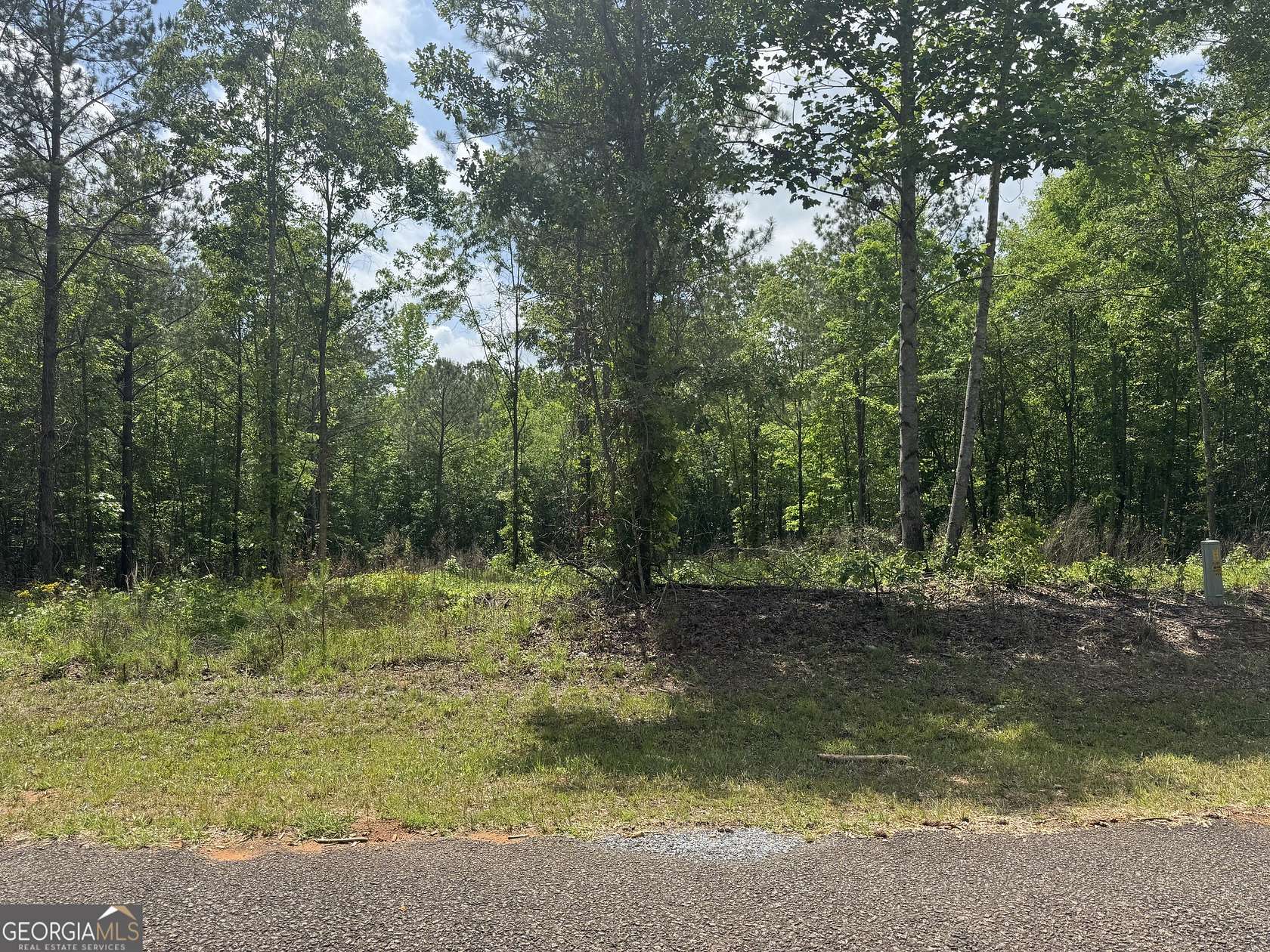 2.34 Acres of Land for Sale in Roanoke, Alabama