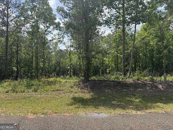 2.34 Acres of Land for Sale in Roanoke, Alabama