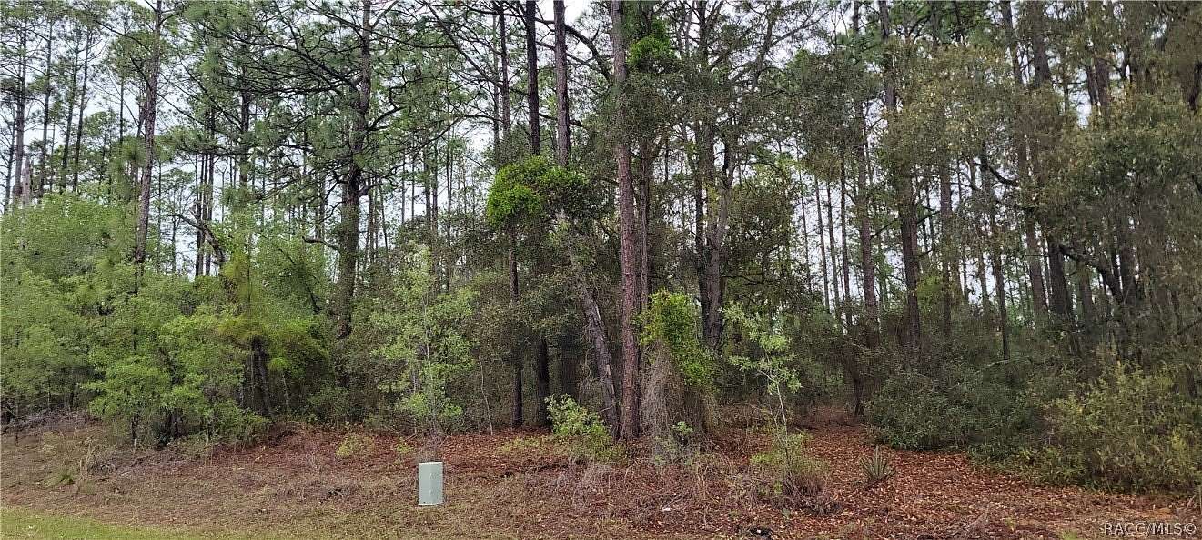 0.47 Acres of Residential Land for Sale in Dunnellon, Florida