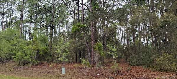 0.47 Acres of Residential Land for Sale in Dunnellon, Florida