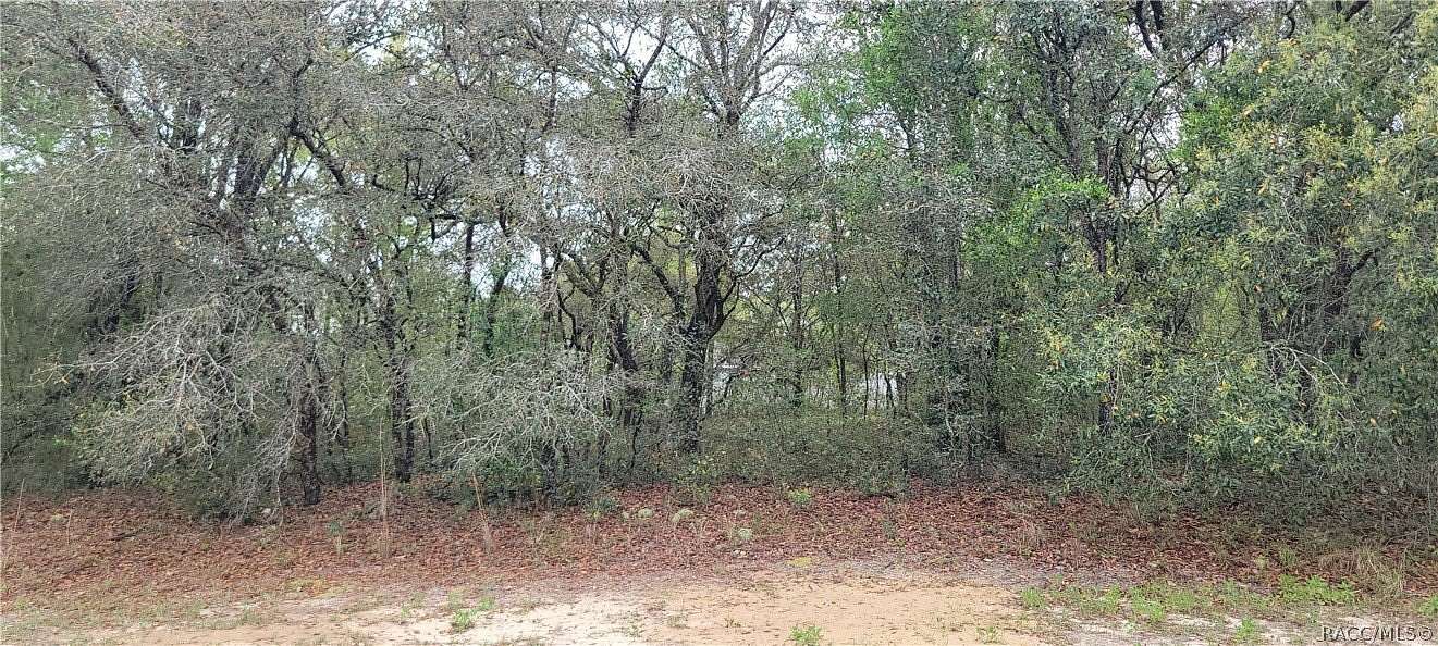 0.23 Acres of Land for Sale in Citrus Springs, Florida