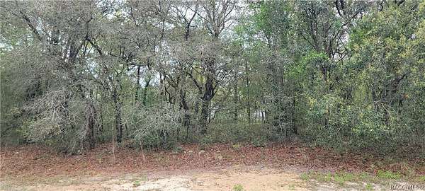 0.23 Acres of Land for Sale in Citrus Springs, Florida